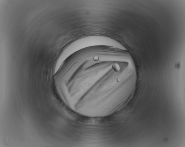 X0000111620080200908141329