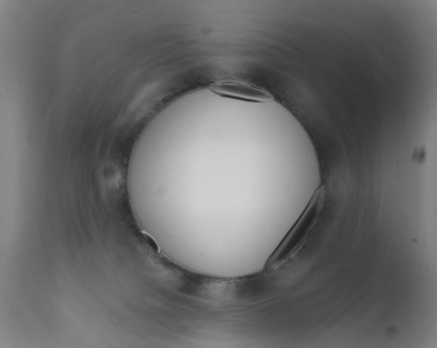 X0000111620084200908141329