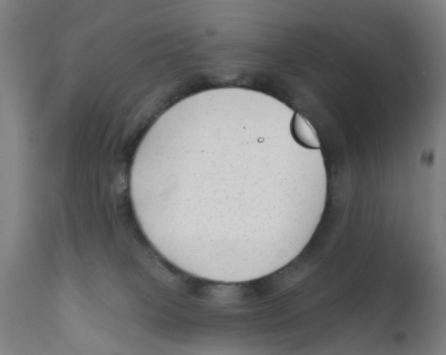 X0000111620085200908141329