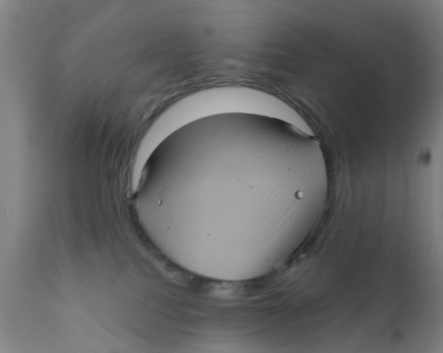 X0000111620088200908141329