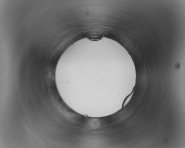 X0000111620091200908141329