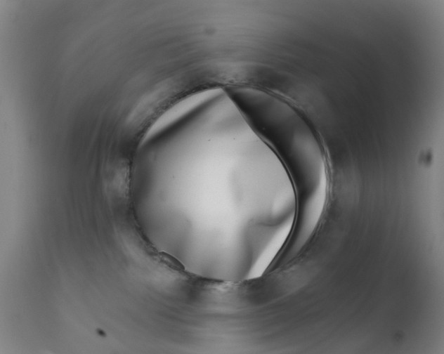 X0000111620092200908141329