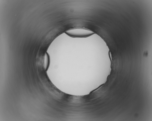 X0000111620093200908141329