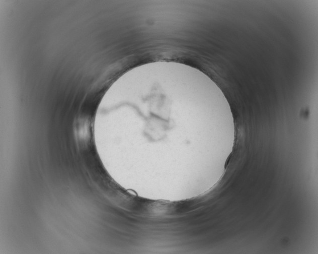 X0000111620094200908141329