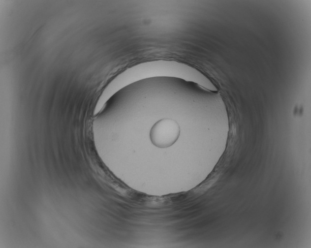 X0000111620096200908141329