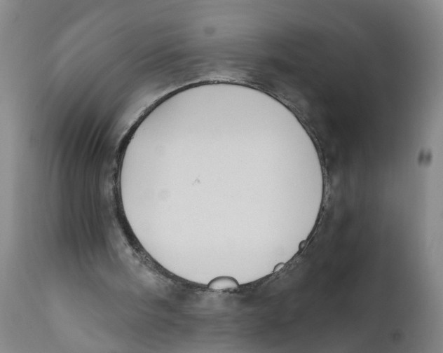 X0000111620098200908141328