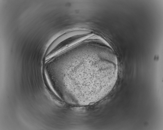 X0000111620100200908141328