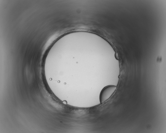 X0000111620102200908141328