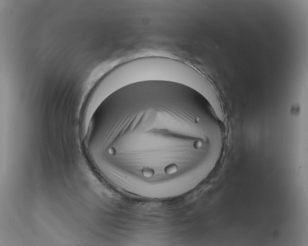 X0000111620104200908141328