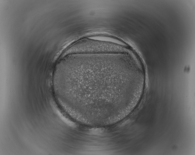 X0000111620105200908141328