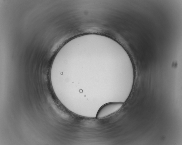 X0000111620106200908141328