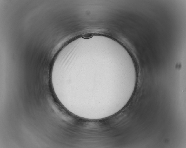 X0000111620107200908141328