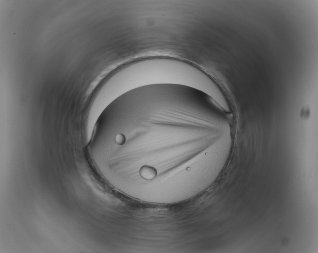 X0000111620108200908141328