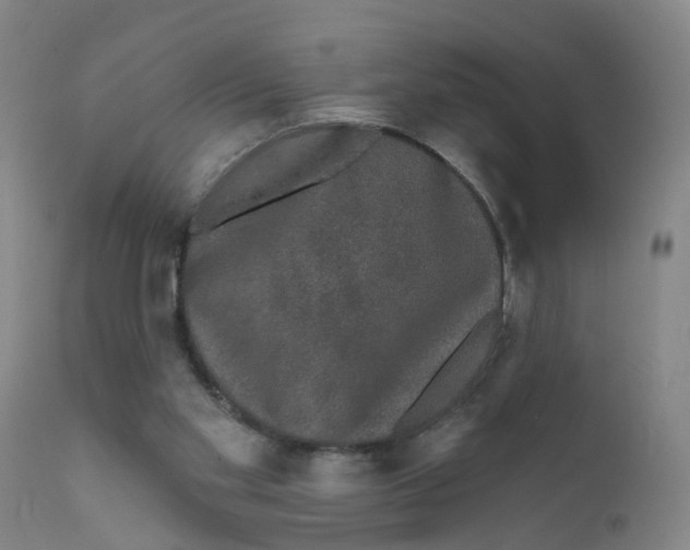 X0000111620109200908141328