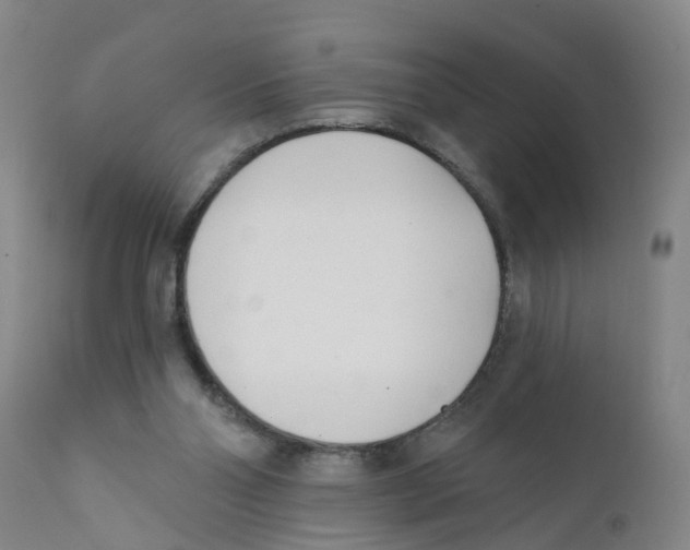 X0000111620110200908141328