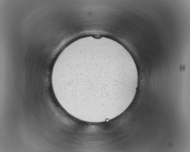 X0000111620111200908141328