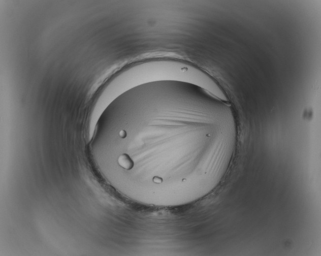 X0000111620112200908141328