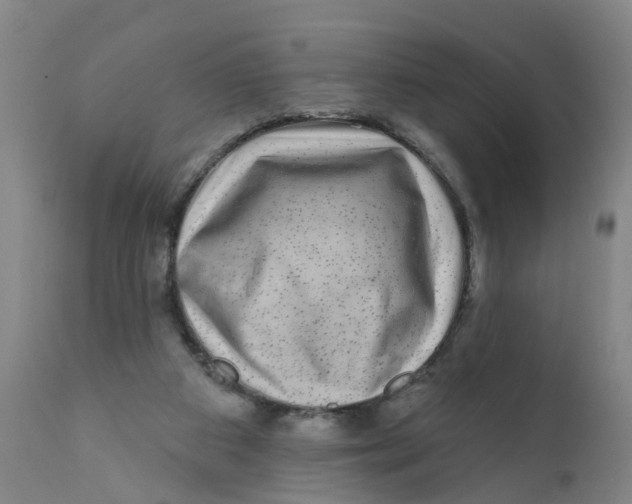 X0000111620113200908141328