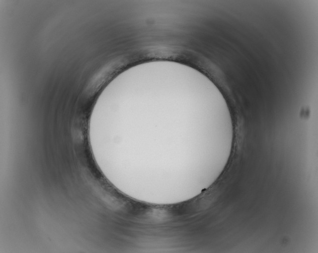 X0000111620114200908141328