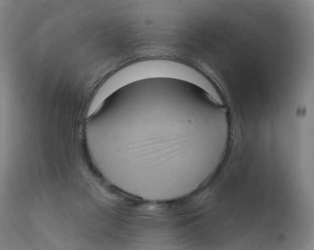 X0000111620117200908141328