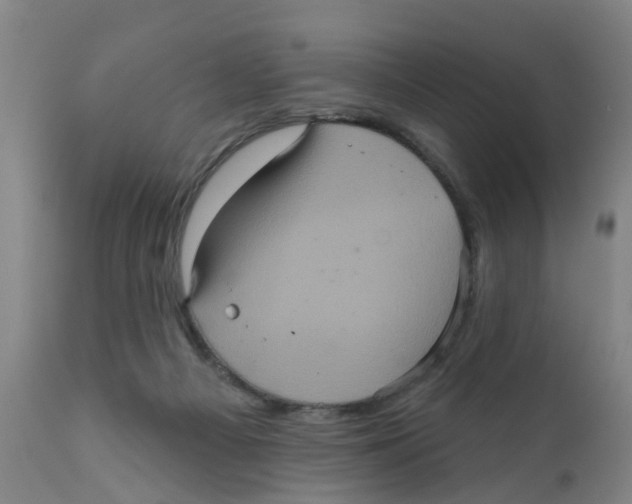 X0000111620121200908141328