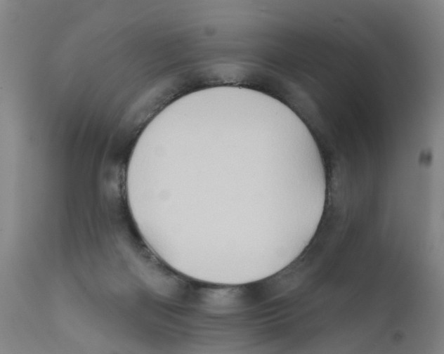 X0000111620122200908141328