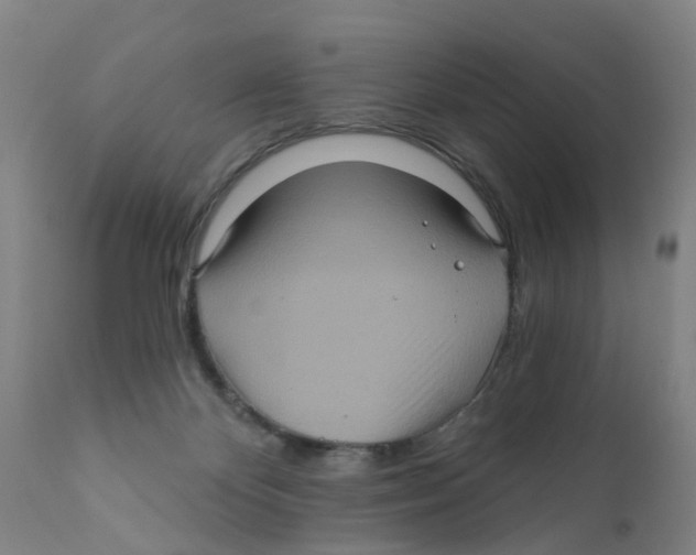 X0000111620124200908141328