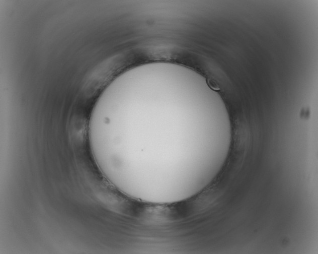 X0000111620125200908141328