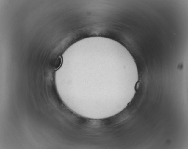 X0000111620127200908141328