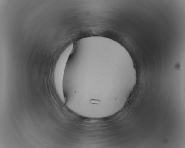 X0000111620129200908141328