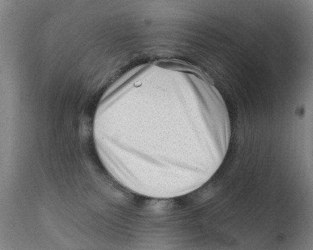 X0000111620135200908141328