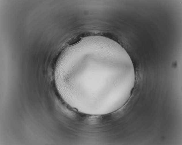 X0000111620136200908141328