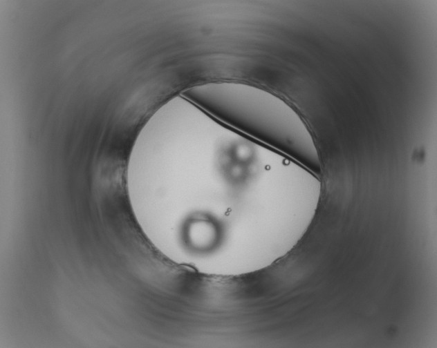 X0000111620141200908141328