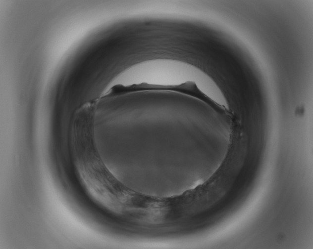 X0000111620143200908141328