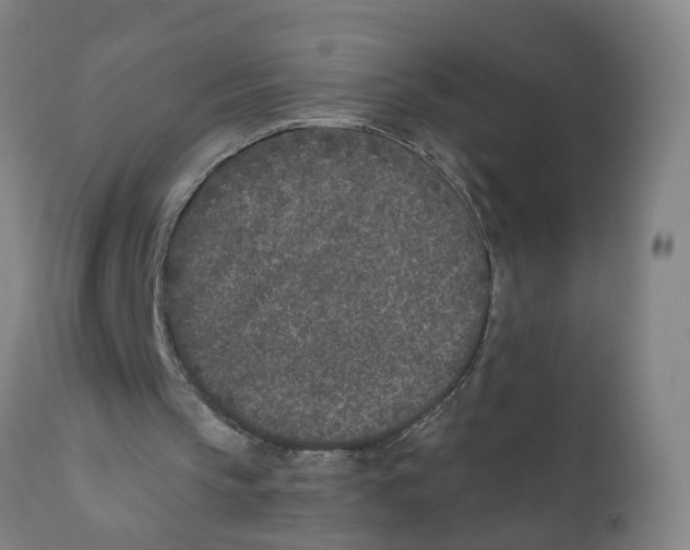 X0000111620145200908141327