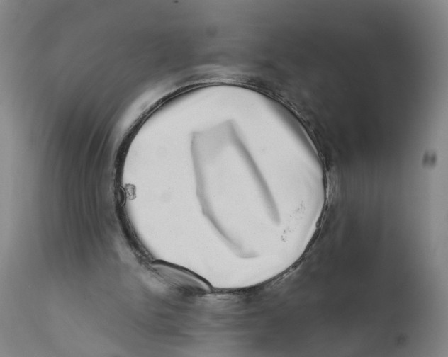 X0000111620150200908141327