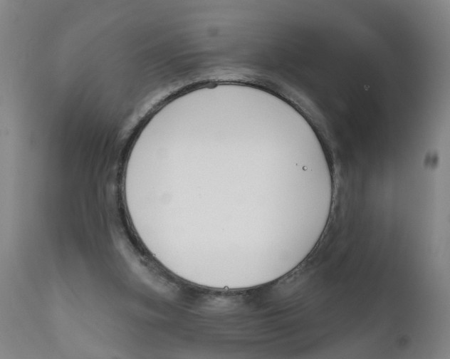 X0000111620155200908141327