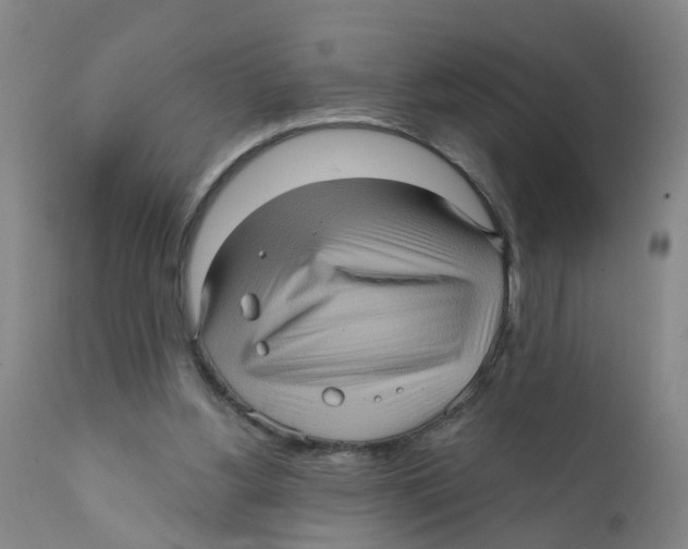 X0000111620156200908141327