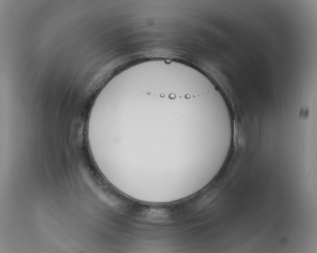 X0000111620157200908141327