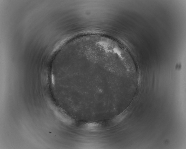 X0000111620158200908141327