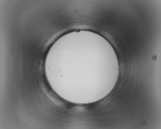 X0000111620159200908141327