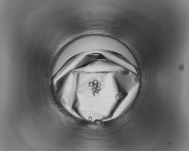 X0000111620160200908141327