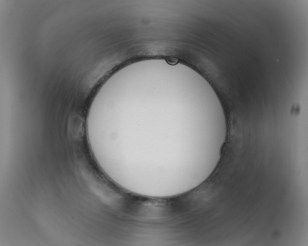 X0000111620164200908141327