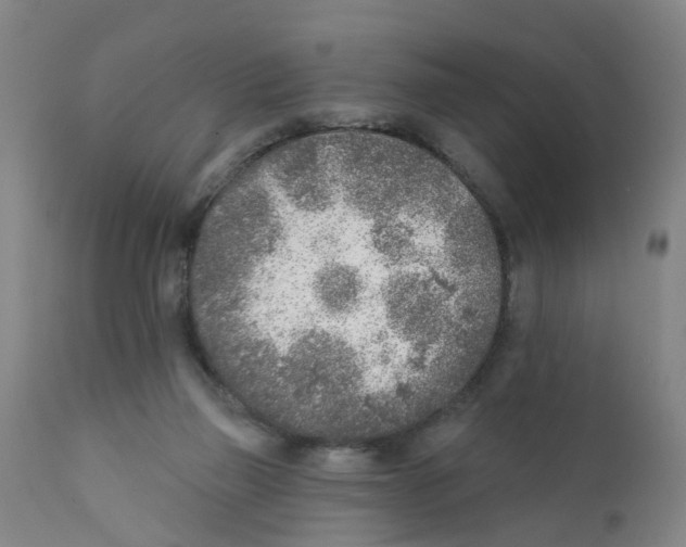 X0000111620165200908141327