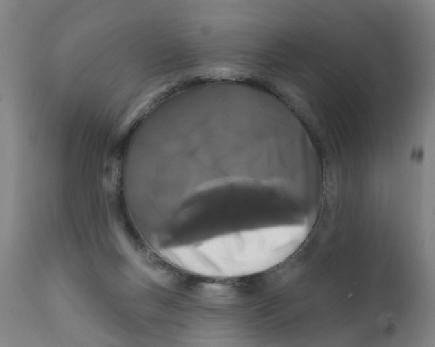 X0000111620167200908141327