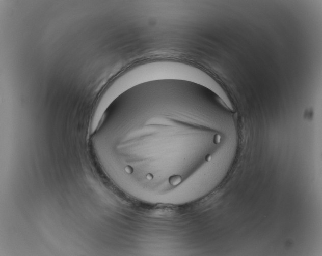 X0000111620168200908141327