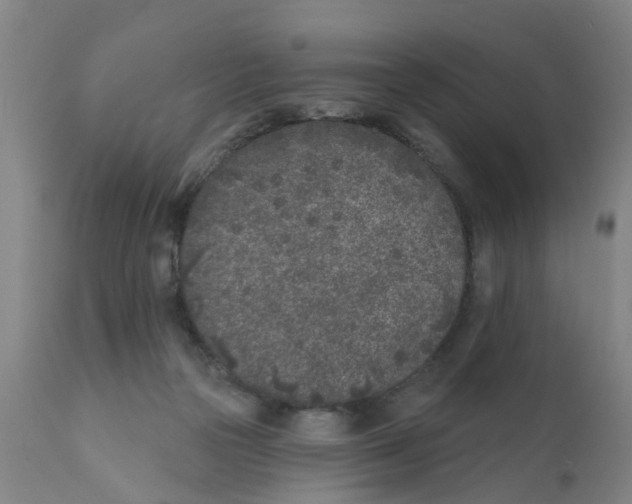 X0000111620169200908141327