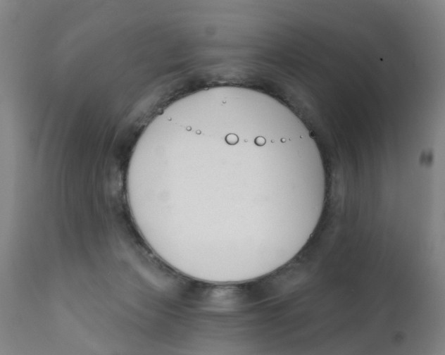 X0000111620173200908141327