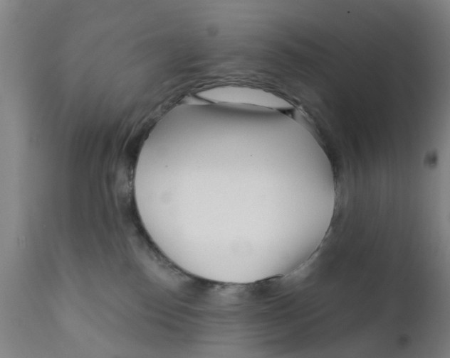 X0000111620186200908141327