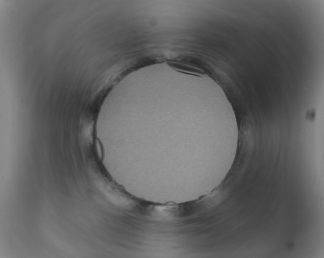 X0000111620188200908141327